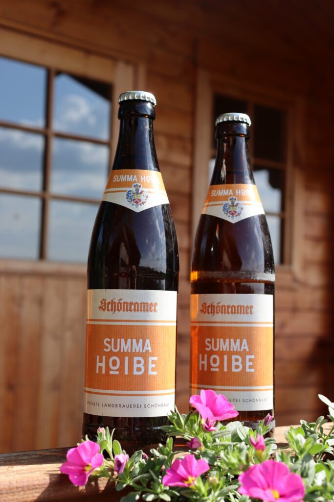 Summa Hoibe